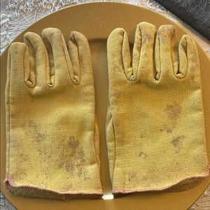 Fish Cleaning Gloves Mens Size Large Extra Large; Fleece Lined; Good Used Shape
